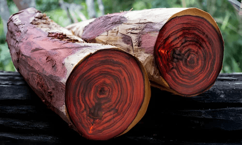 Rosewood Logs