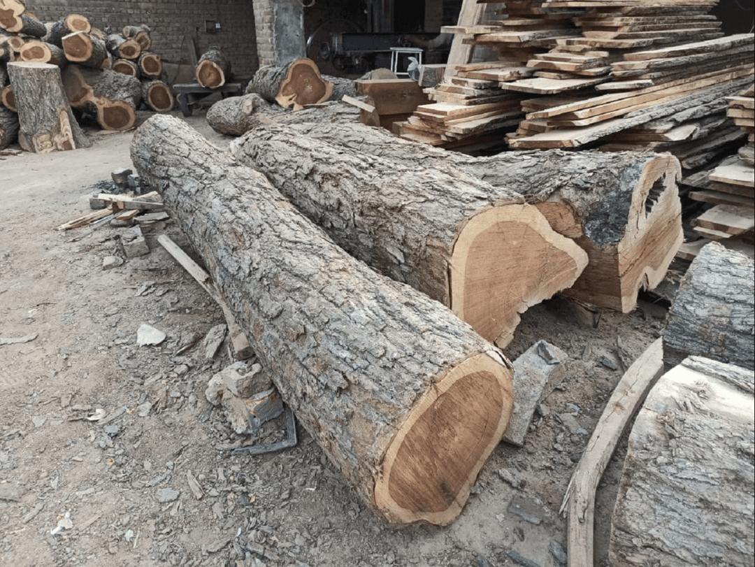 Sheesham Wood Logs