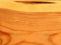 Softwood