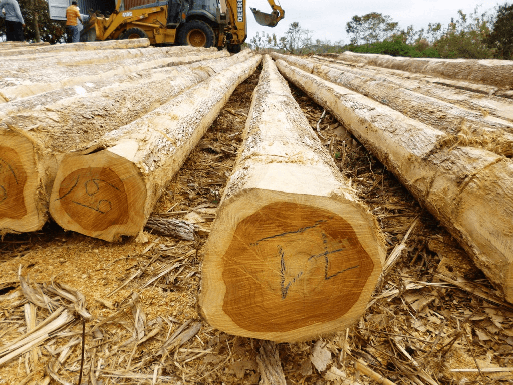 Teak Wood Planks